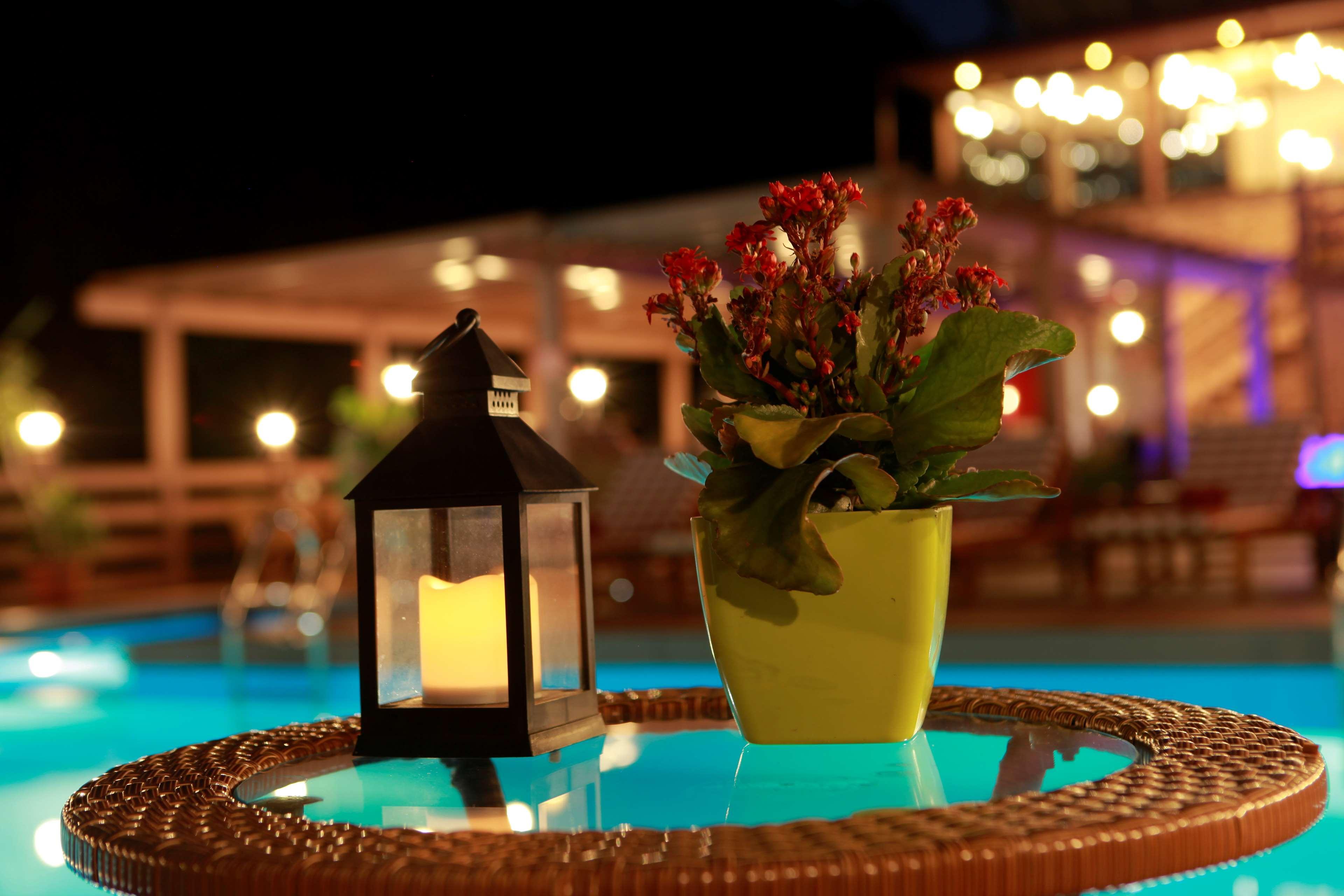 Best Western Plus Paradise Hotel ดีลีจาน ภายนอก รูปภาพ